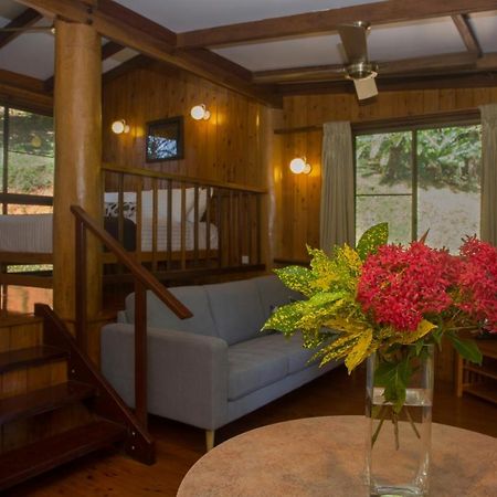 Milkwood Lodge คุกทาวน์ ภายนอก รูปภาพ