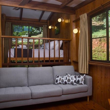 Milkwood Lodge คุกทาวน์ ภายนอก รูปภาพ