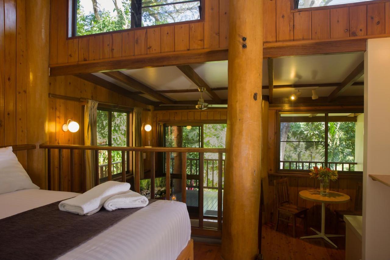 Milkwood Lodge คุกทาวน์ ภายนอก รูปภาพ