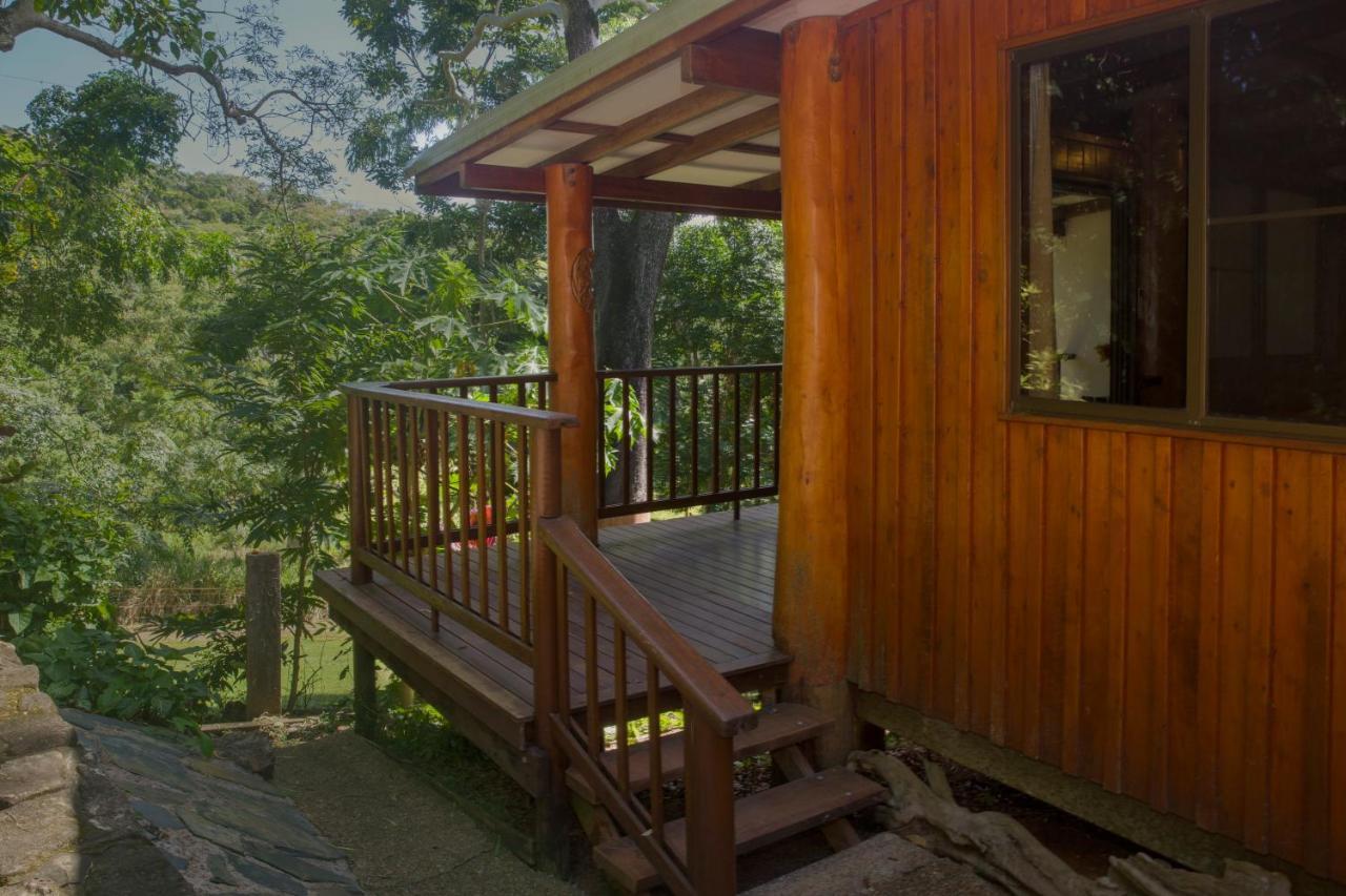 Milkwood Lodge คุกทาวน์ ภายนอก รูปภาพ