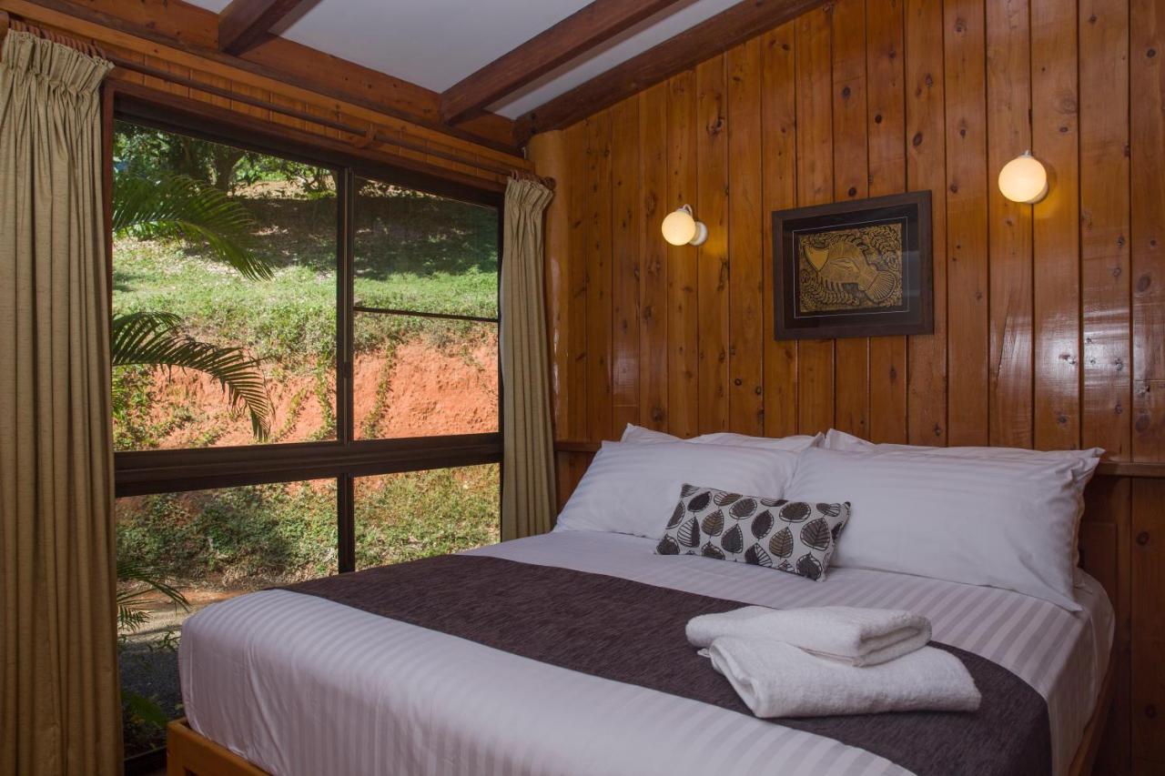 Milkwood Lodge คุกทาวน์ ภายนอก รูปภาพ