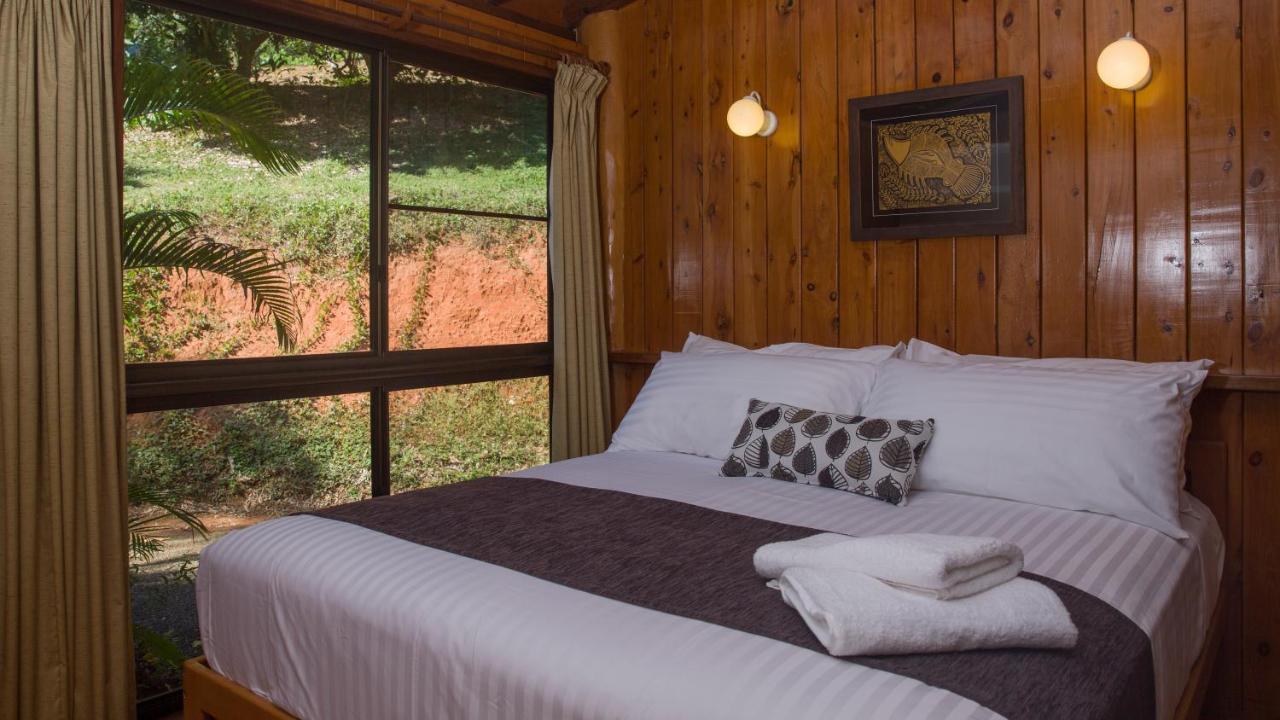 Milkwood Lodge คุกทาวน์ ภายนอก รูปภาพ