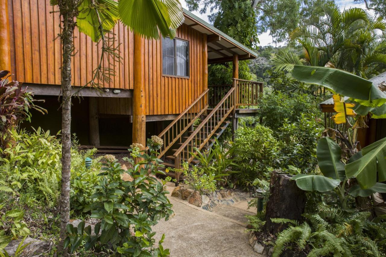 Milkwood Lodge คุกทาวน์ ภายนอก รูปภาพ