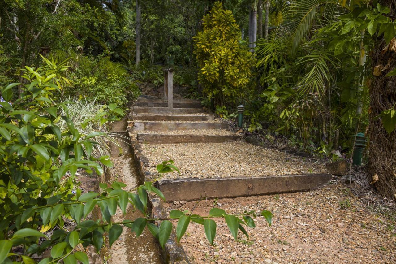 Milkwood Lodge คุกทาวน์ ภายนอก รูปภาพ